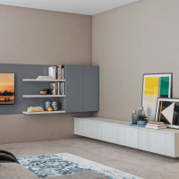 Immagina Plus Bridge 03