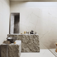 The Room-Statuario Vena Piccola